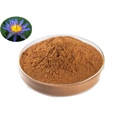 Top Quality Wholesale Blue Lotus Flower Extract Powder